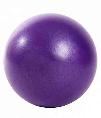 Мяч для пилатеса (25 см фиолетовый) 